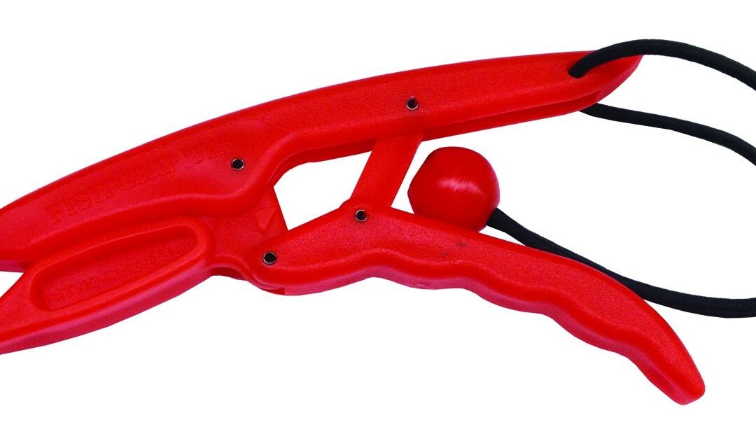 fish grip