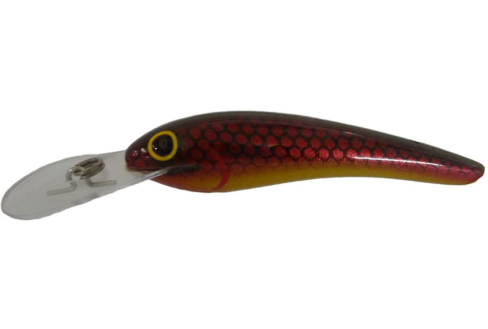 CC-MINNOW DEEP
