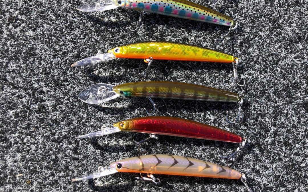 40248476_404788053383650_7242739626262134784_n