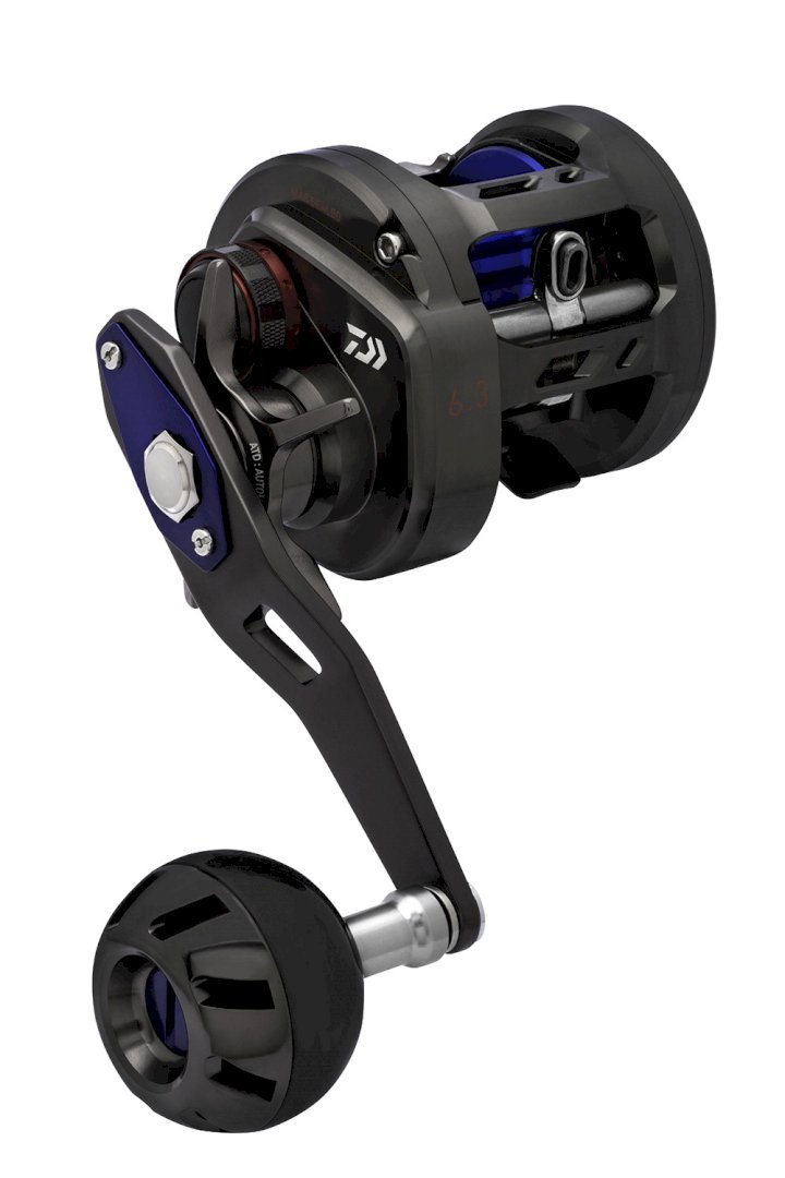 DAIWA ソルティガBJ 200H フィッシング リール bayleaflake.co.uk