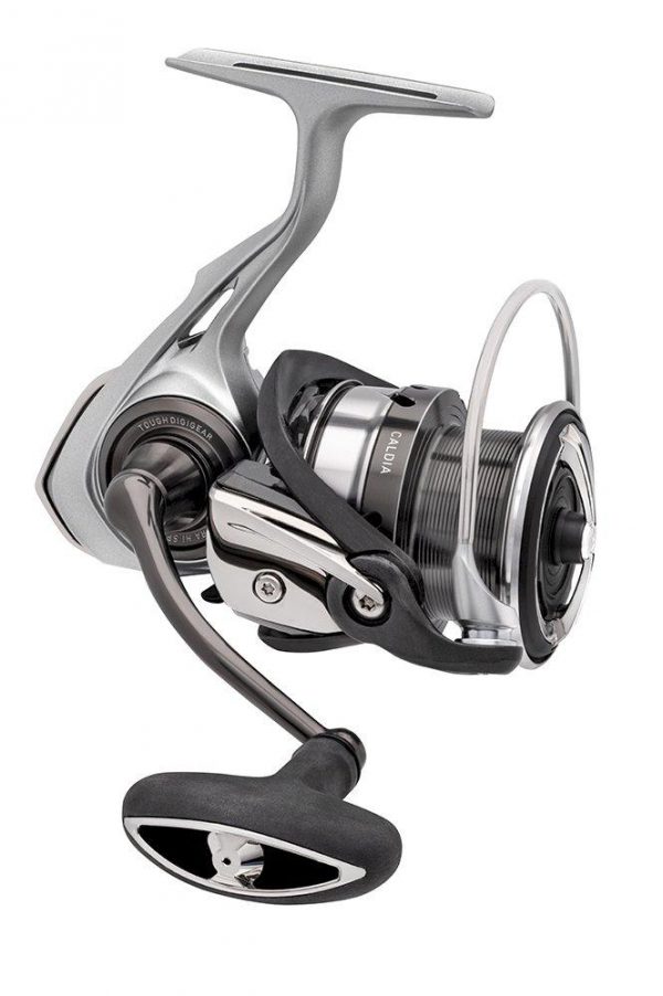 Daiwa 18 Caldia Lt 6000D Reel